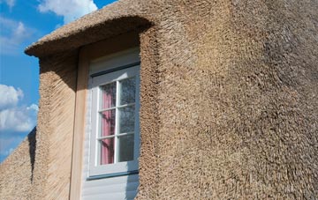 Sheepstor thatch roof disadvantages