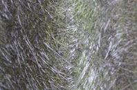 Sheepstor fibreglass roof work